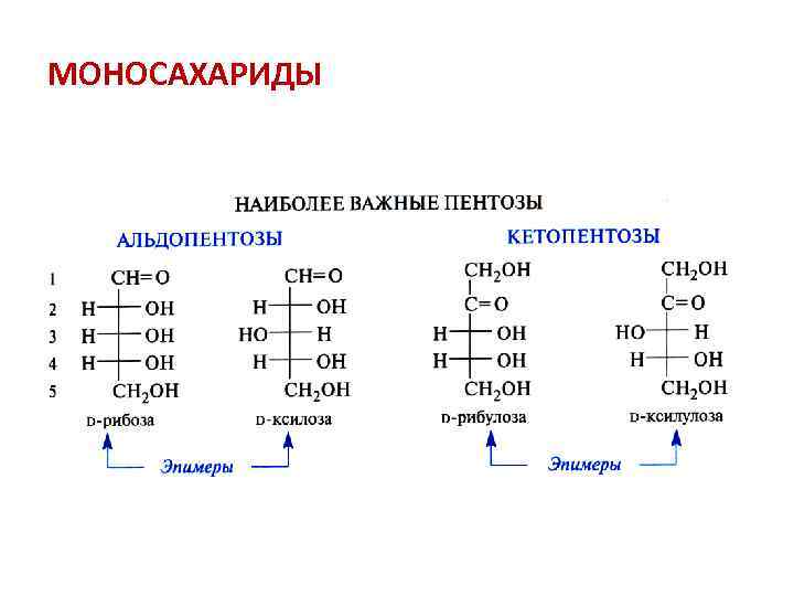 Классификация моносахаридов