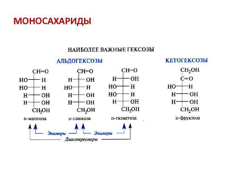 МОНОСАХАРИДЫ 