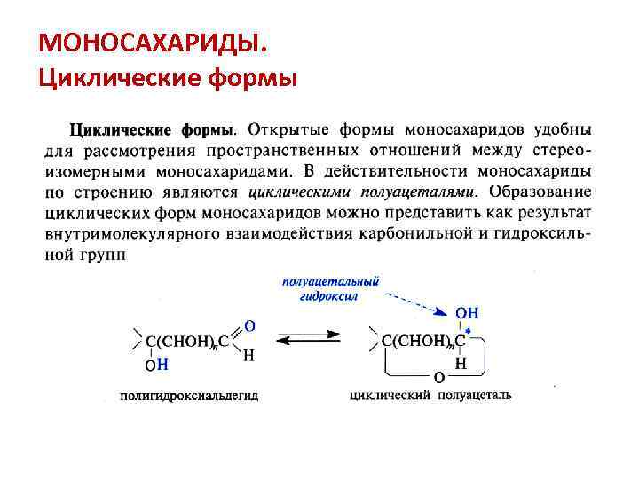 МОНОСАХАРИДЫ. Циклические формы 