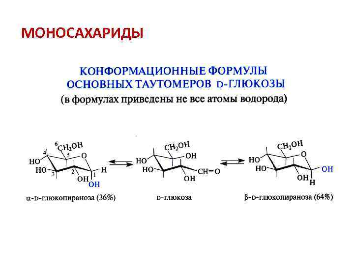 МОНОСАХАРИДЫ 