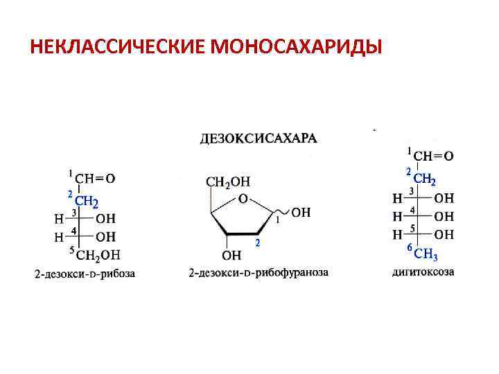 НЕКЛАССИЧЕСКИЕ МОНОСАХАРИДЫ 