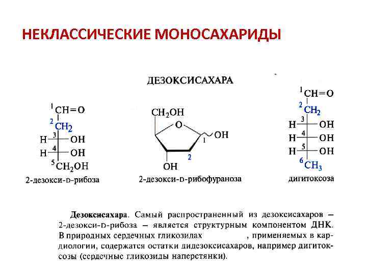 НЕКЛАССИЧЕСКИЕ МОНОСАХАРИДЫ 