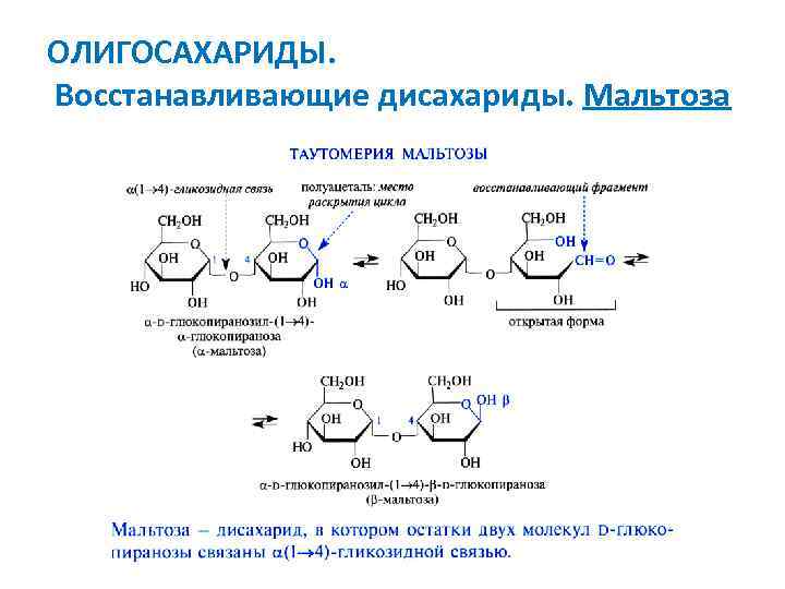 ОЛИГОСАХАРИДЫ. Восстанавливающие дисахариды. Мальтоза 