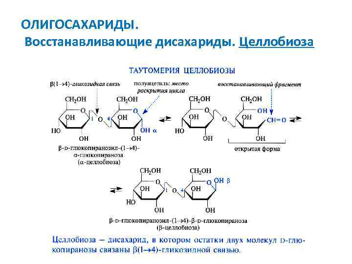 Схема образования целлобиозы