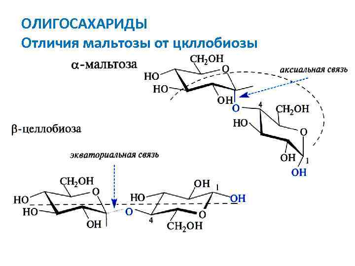 ОЛИГОСАХАРИДЫ Отличия мальтозы от цкллобиозы 