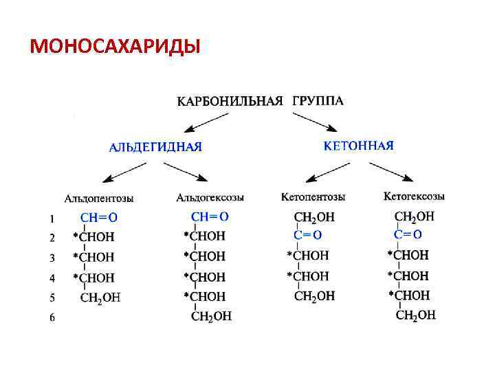 МОНОСАХАРИДЫ 