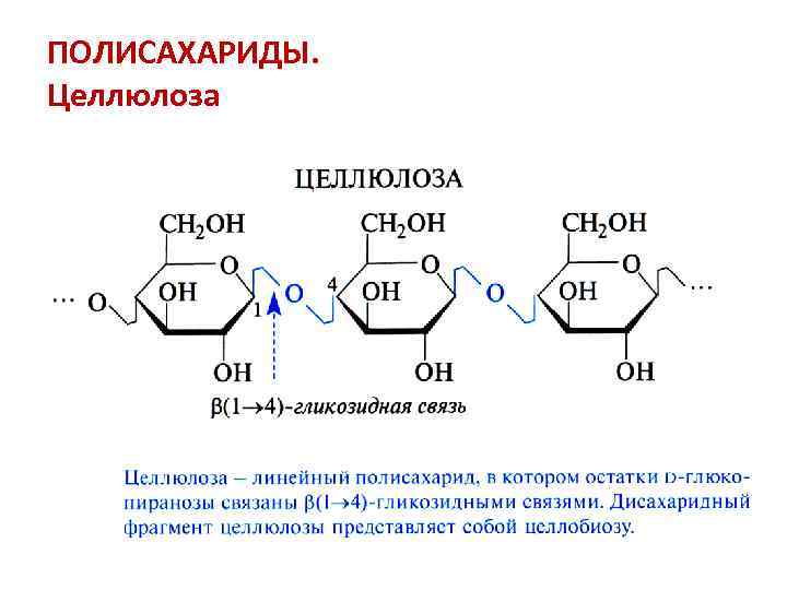 Полисахариды формула. Структура полисахаридов формула. Строение полисахаридов формула. Основные полисахариды формулы. Полисахариды формула Целлюлоза.