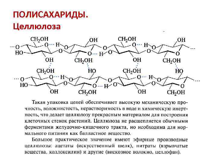 ПОЛИСАХАРИДЫ. Целлюлоза 