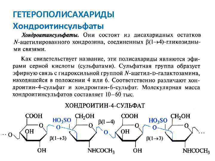 ГЕТЕРОПОЛИСАХАРИДЫ Хондроитинсульфаты 