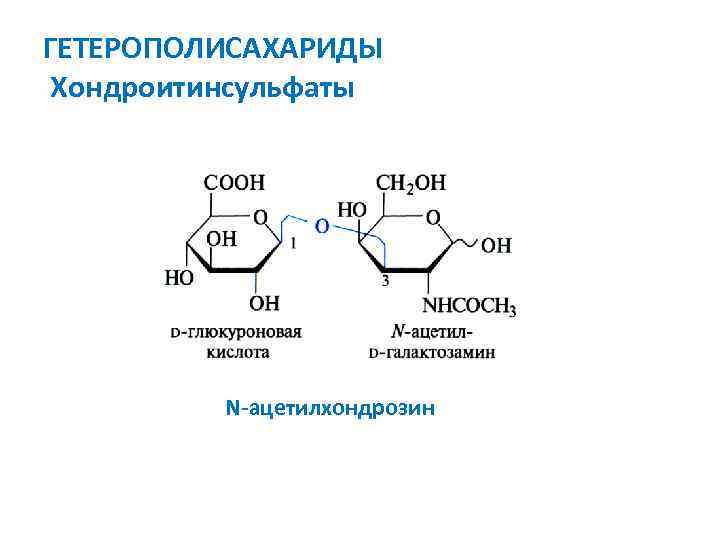 ГЕТЕРОПОЛИСАХАРИДЫ Хондроитинсульфаты N-ацетилхондрозин 