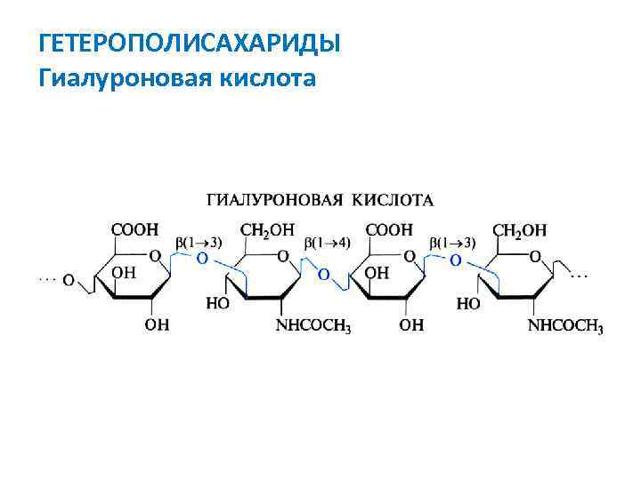 ГЕТЕРОПОЛИСАХАРИДЫ Гиалуроновая кислота 