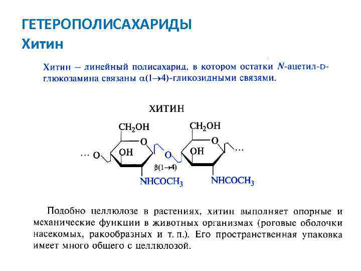 ГЕТЕРОПОЛИСАХАРИДЫ Хитин 