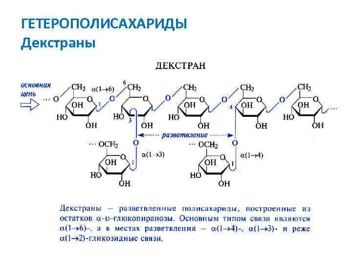 ГЕТЕРОПОЛИСАХАРИДЫ Декстраны 