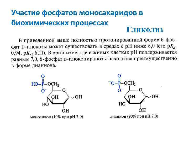 Участие фосфатов моносахаридов в биохимических процессах Гликолиз 