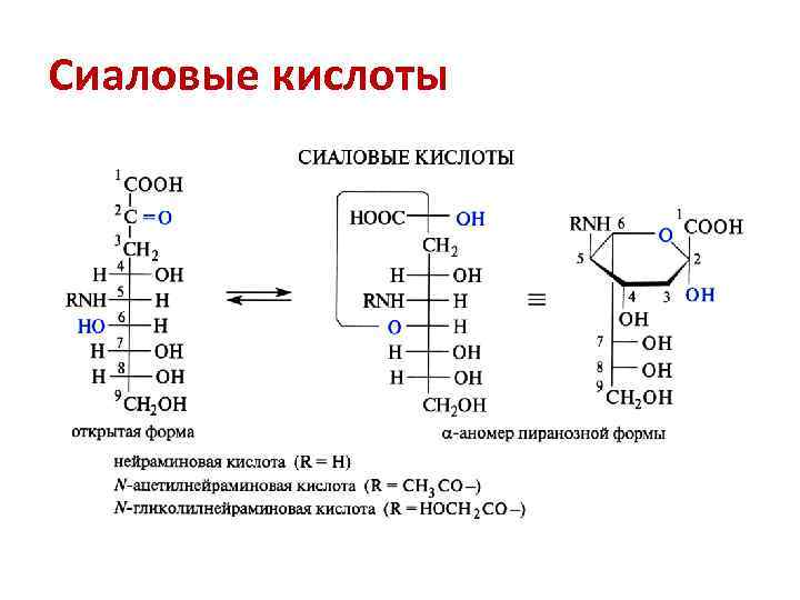 Сиаловые кислоты 