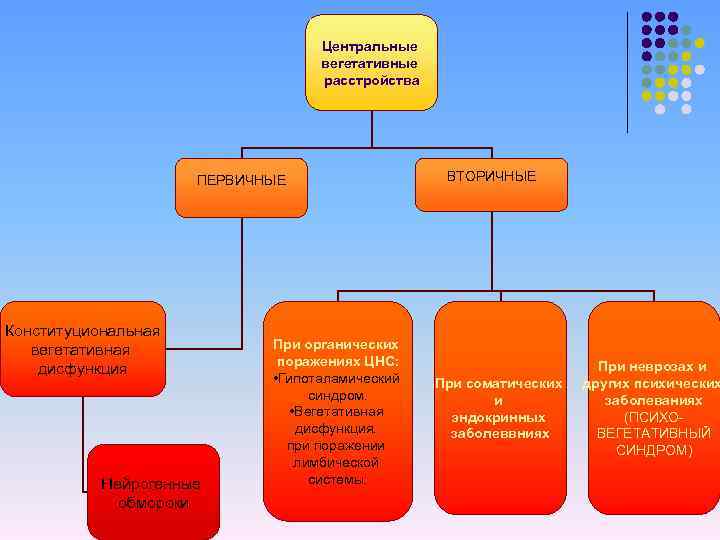 Центральные вегетативные расстройства ПЕРВИЧНЫЕ Конституциональная вегетативная дисфункция Нейрогенные обмороки При органических поражениях ЦНС: •