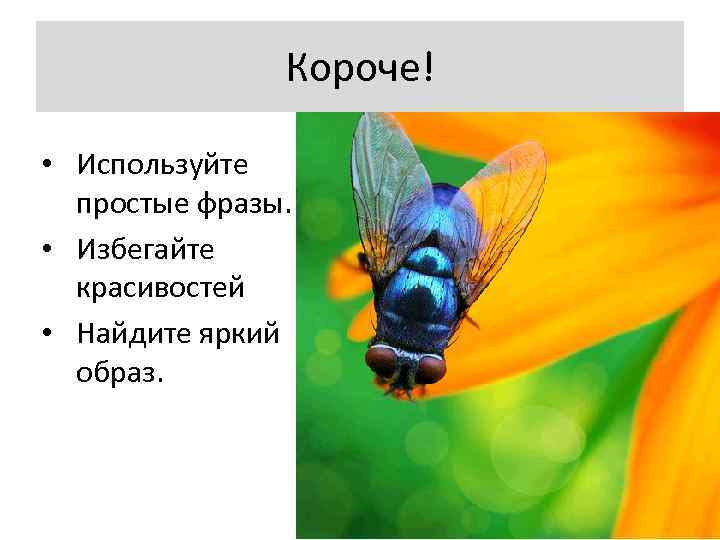 Короче! • Используйте простые фразы. • Избегайте красивостей • Найдите яркий образ. 