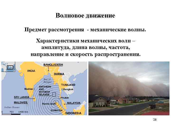Волновое движение Предмет рассмотрения - механические волны. Характеристики механических волн – амплитуда, длина волны,