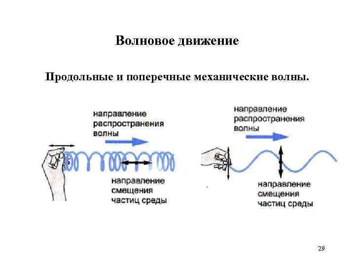 Волновое движение Продольные и поперечные механические волны. 29 