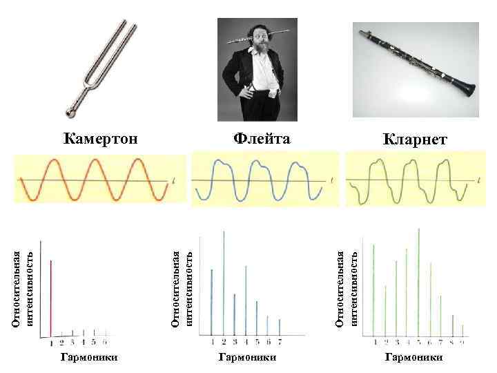 Гармоники Относительная интенсивность Камертон Флейта Гармоники Кларнет Гармоники 
