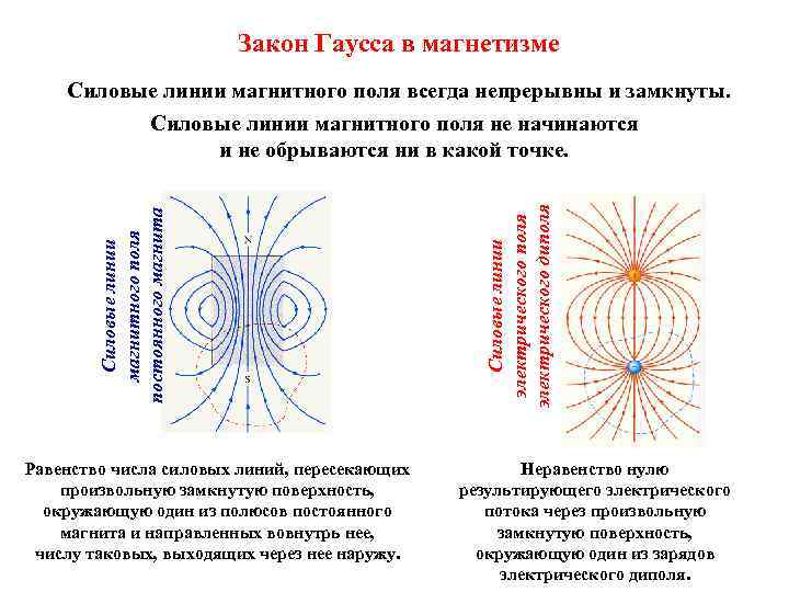 Поле законам