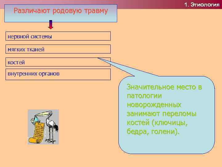Различают родовую травму 1. Этиология нервной системы мягких тканей костей внутренних органов Значительное место