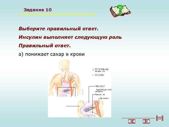 Задание 10 Выберите правильный ответ. Инсулин выполняет следующую роль Правильный ответ. а) понижает сахар