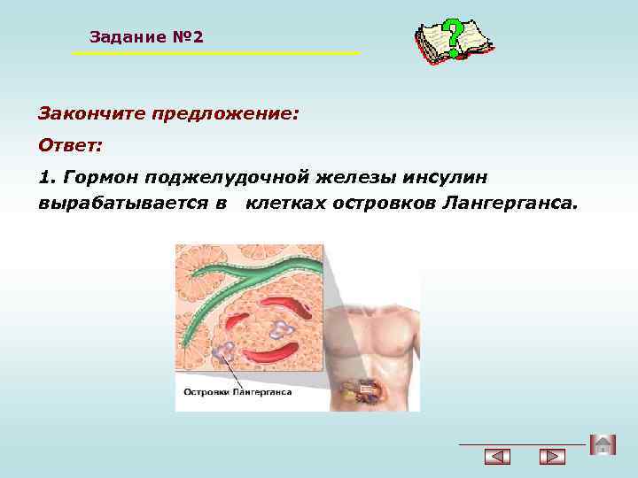 Задание № 2 Закончите предложение: Ответ: 1. Гормон поджелудочной железы инсулин вырабатывается в клетках