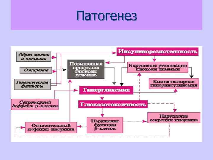 Патогенез 