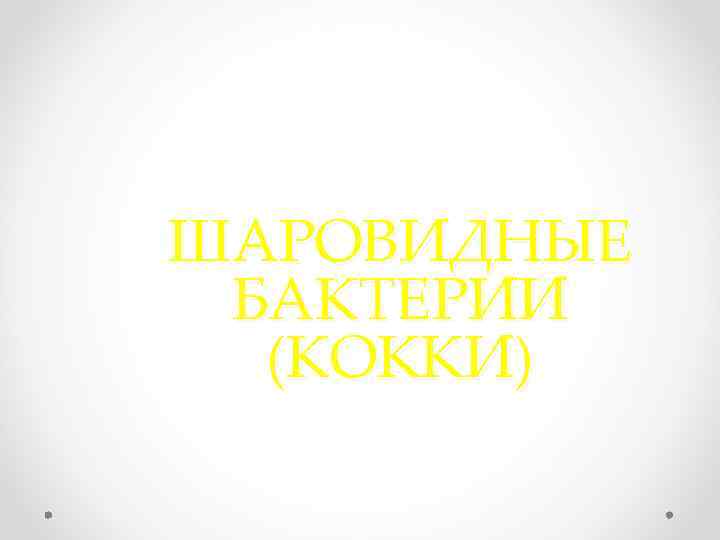 ШАРОВИДНЫЕ БАКТЕРИИ (КОККИ) 