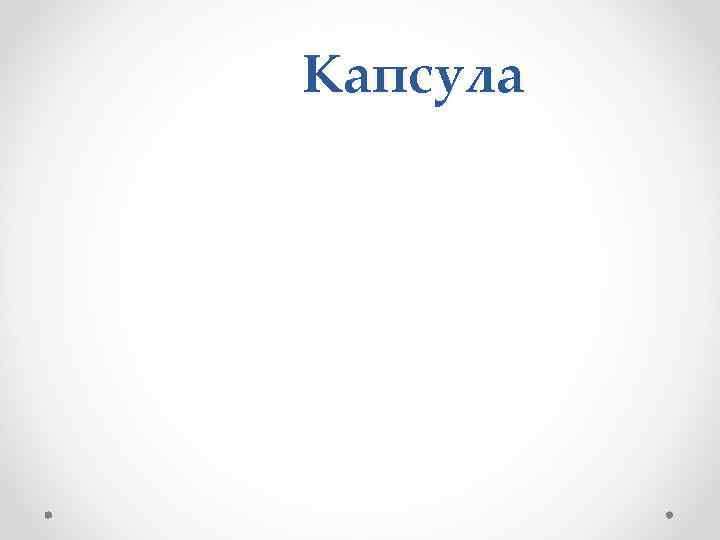 Капсула 