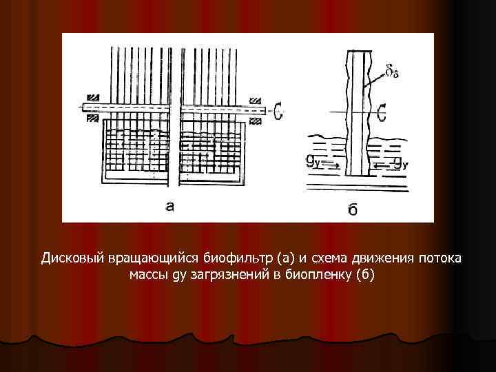 Дисковый вращающийся биофильтр (а) и схема движения потока массы gу загрязнений в биопленку (б)