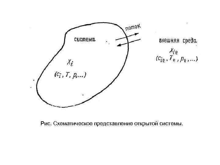 Рис. Схематическое представление открытой системы. 