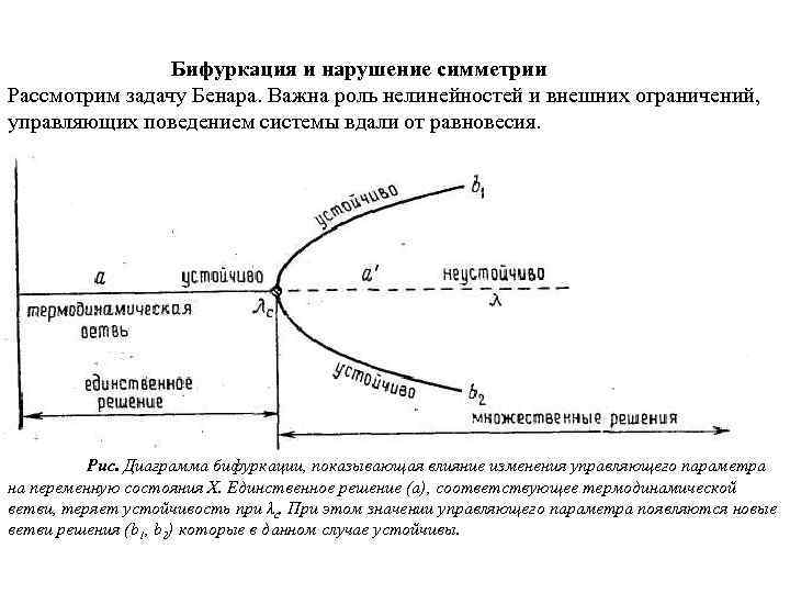 Точка бифуркации картинки