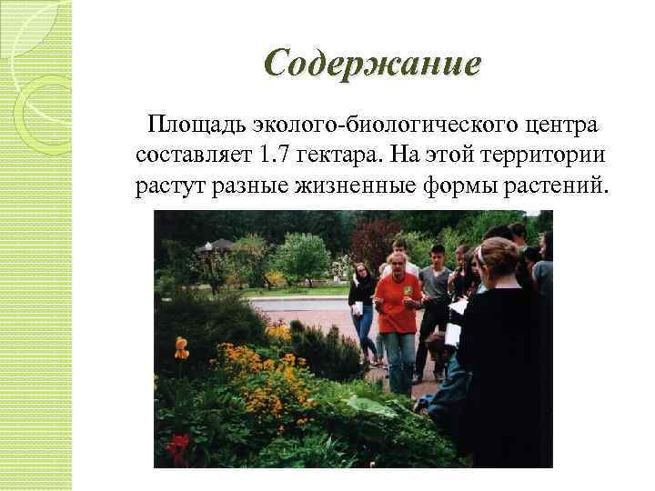 Содержание Площадь эколого-биологического центра составляет 1. 7 гектара. На этой территории растут разные жизненные
