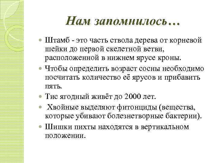 Нам запомнилось… Штамб - это часть ствола дерева от корневой шейки до первой скелетной