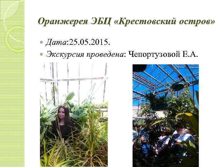 Оранжерея ЭБЦ «Крестовский остров» Дата: 25. 05. 2015. Экскурсия проведена: Чепортузовой Е. А. 