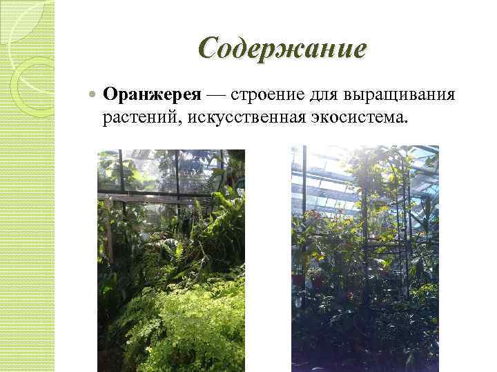 Содержание Оранжерея — строение для выращивания растений, искусственная экосистема. 