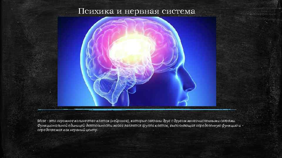 Психика и нервная система Мозг - это огромное количество клеток (нейронов), которые связаны друг