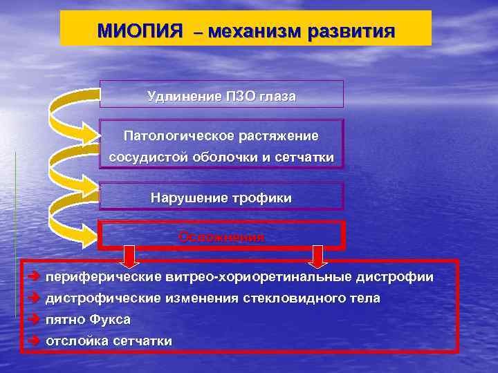 МИОПИЯ – механизм развития Удлинение ПЗО глаза Патологическое растяжение сосудистой оболочки и сетчатки Нарушение