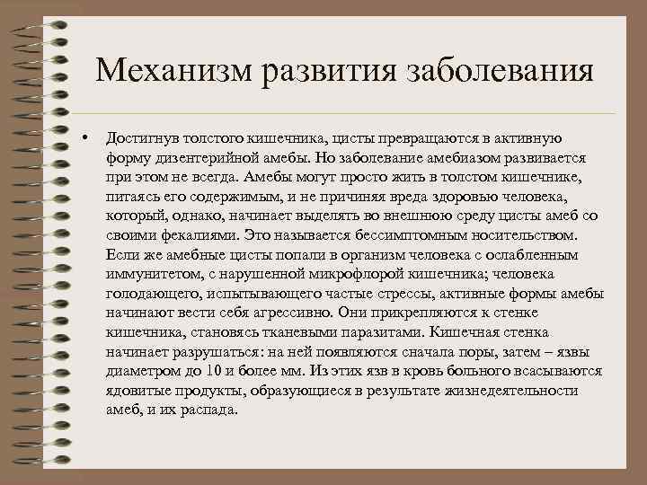 Механизм развития заболевания • Достигнув толстого кишечника, цисты превращаются в активную форму дизентерийной амебы.