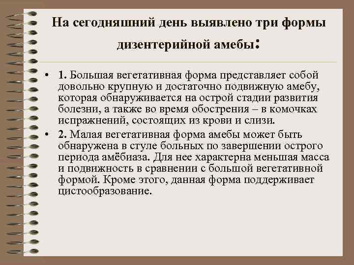 На сегодняшний день выявлено три формы дизентерийной амебы: • 1. Большая вегетативная форма представляет