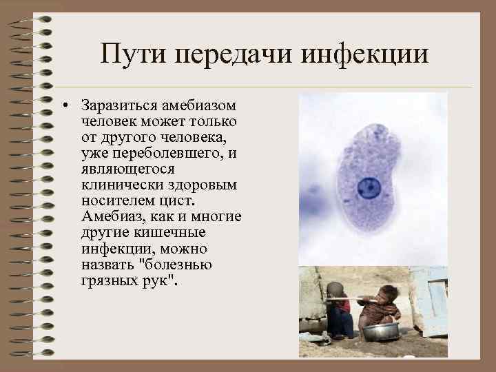 Пути передачи инфекции • Заразиться амебиазом человек может только от другого человека, уже переболевшего,