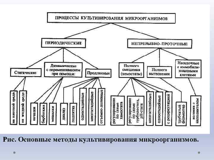 Рис. Основные методы культивирования микроорганизмов. 