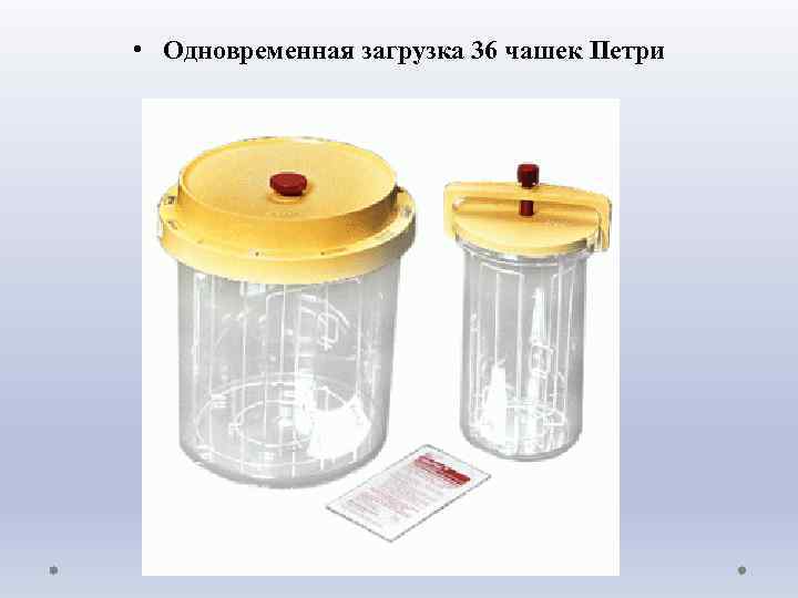  • Одновременная загрузка 36 чашек Петри 