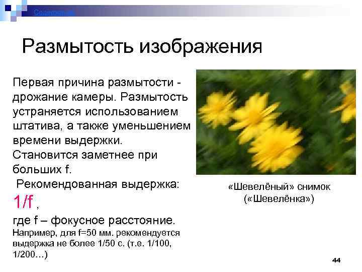 Содержание Размытость изображения Первая причина размытости дрожание камеры. Размытость устраняется использованием штатива, а также