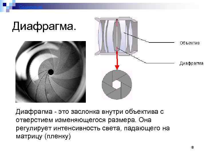 Содержание Диафрагма - это заслонка внутри объектива с отверстием изменяющегося размера. Она регулирует интенсивность