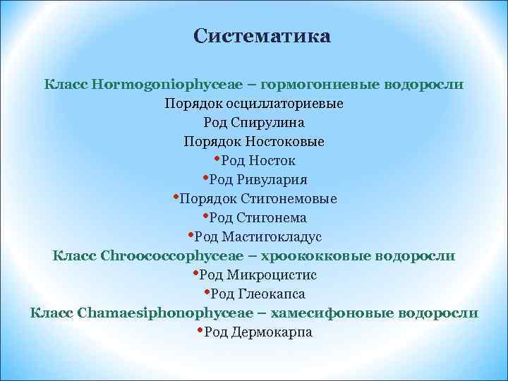 К какой систематической группе относят