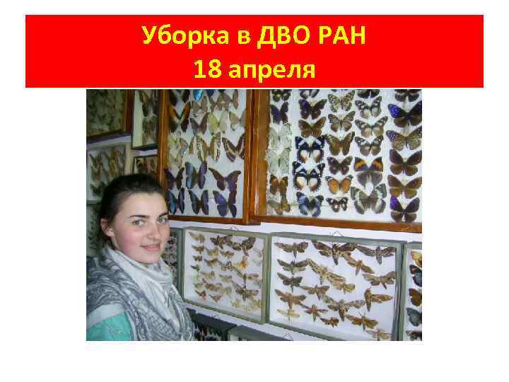 Уборка в ДВО РАН 18 апреля 