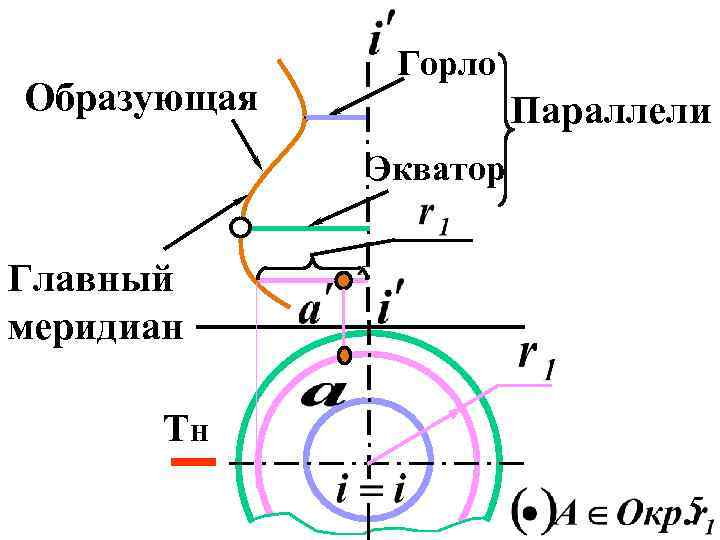 Экватором поверхности вращения показанной на чертеже является линия